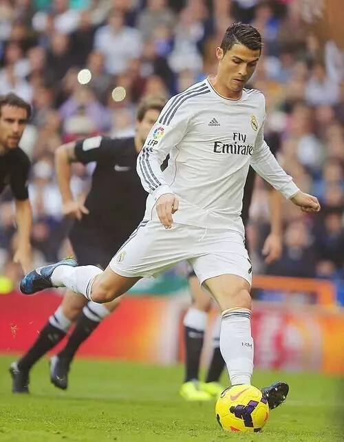 解析这一壮 解析这一壮