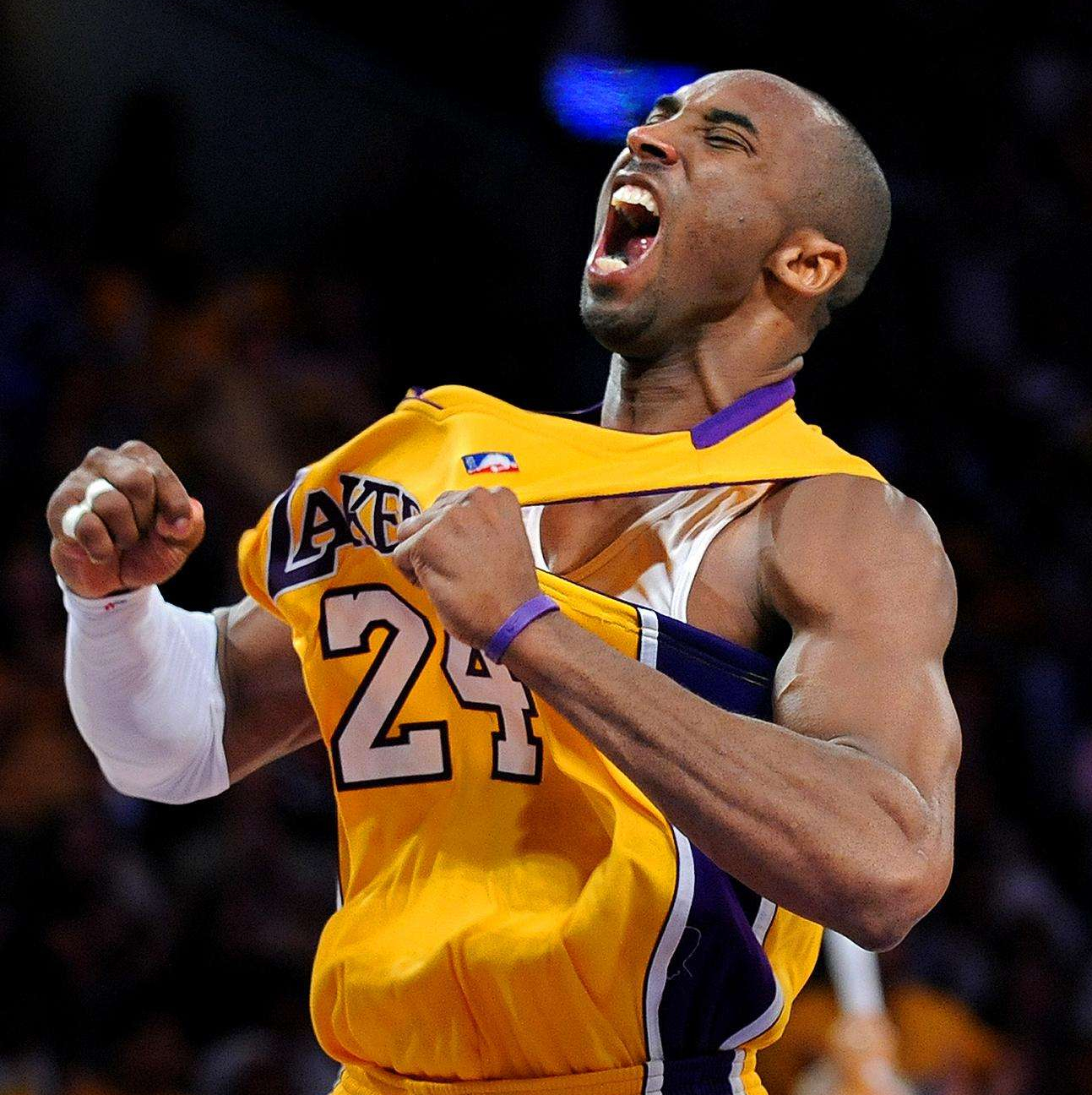 新人养成 新人养成